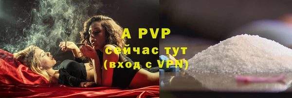 гидра Алексеевка