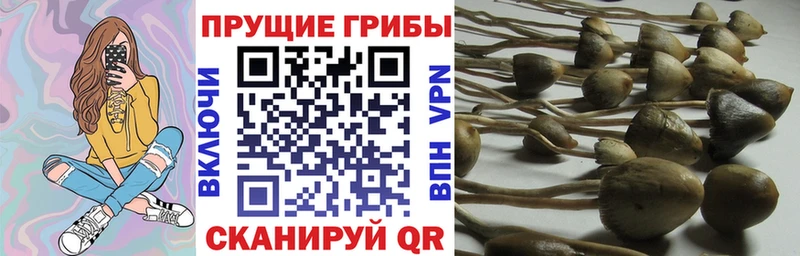 МЕГА зеркало  Кирсанов  Галлюциногенные грибы MAGIC MUSHROOMS  как найти наркотики 